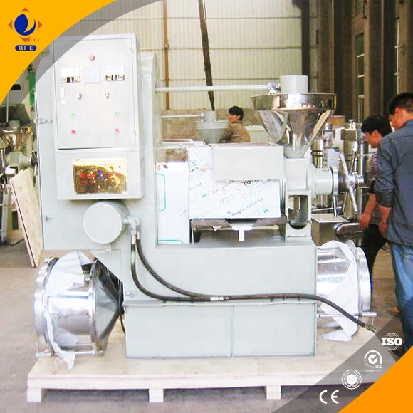 cold press automatic grape pip oil press machine 