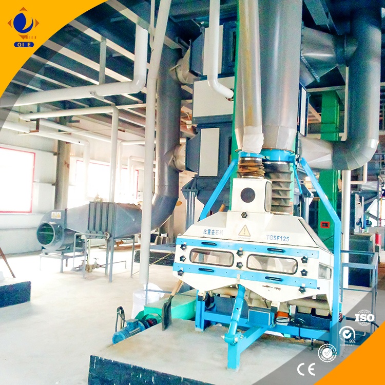 cold pressing machines for black seed oil extraction 