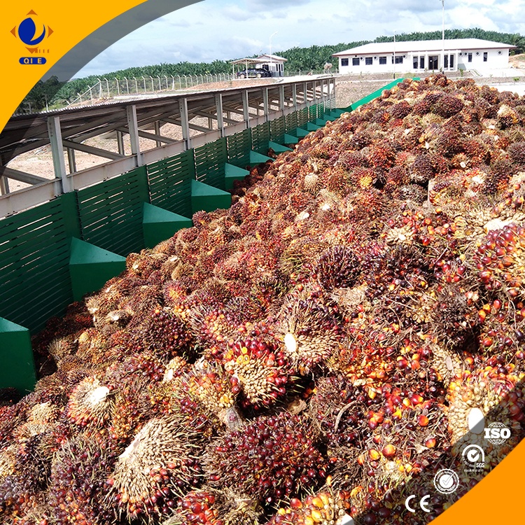 palm kernel shells as biomass resource | bioenergy consult 