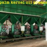 Palm kernel oil expeller machine